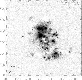 NGC1156.FN657-SED607