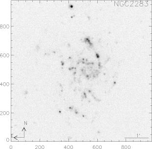 NGC2283.Ha 6563