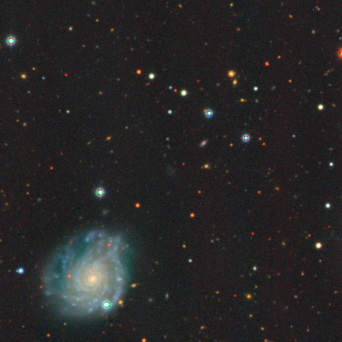M81-dw J0954+6821